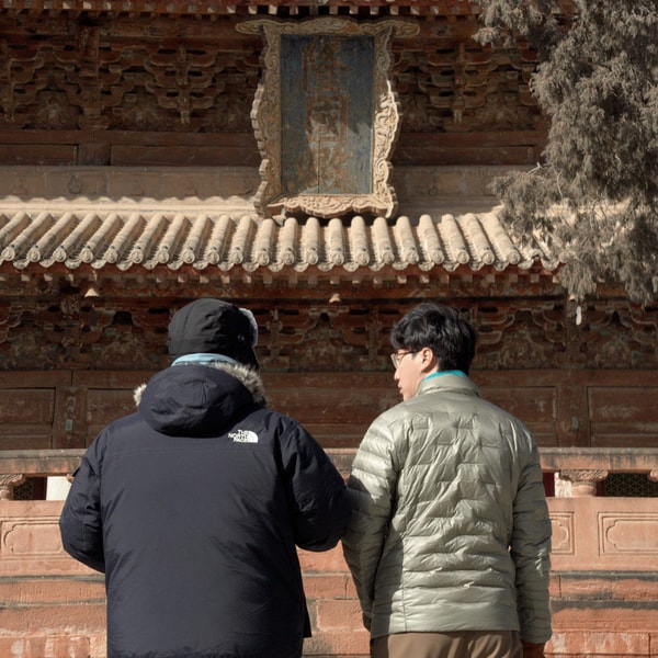 蜉蝣天地 Meanders