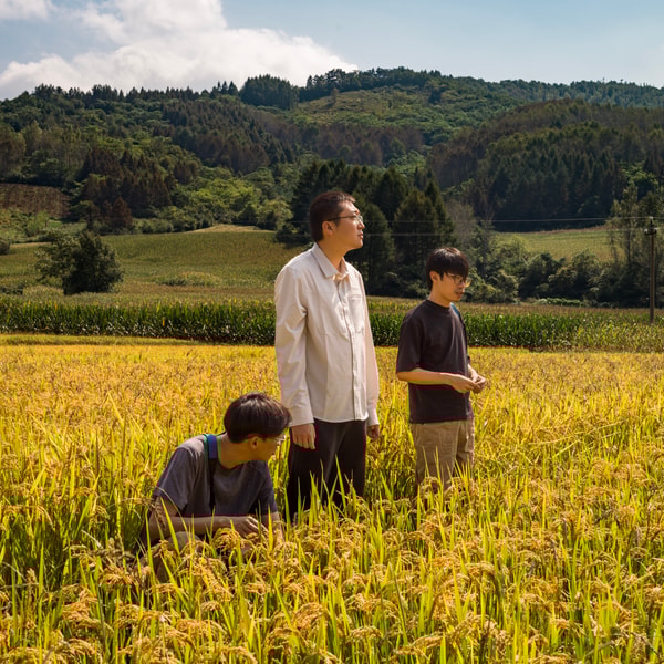 蜉蝣天地 Meanders