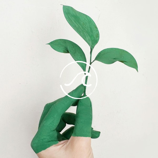 随机波动StochasticVolatility