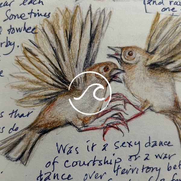 随机波动StochasticVolatility