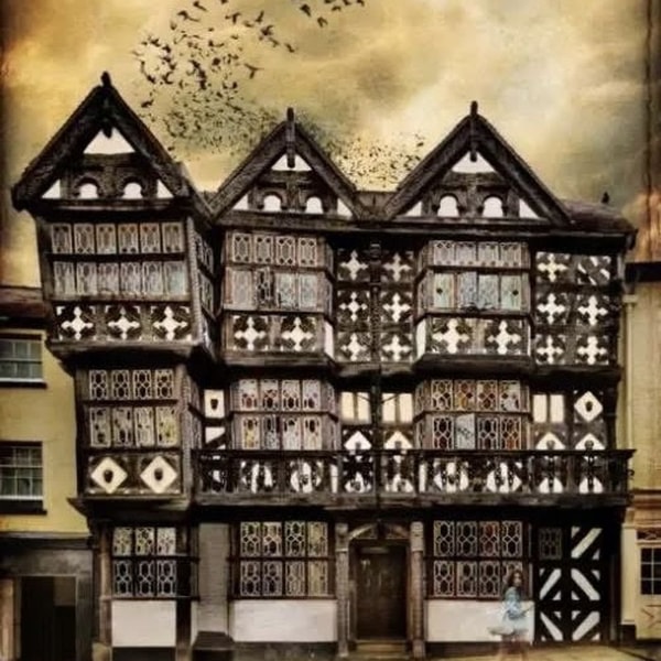 Middle Aged Mini #259 - The Feathers Hotel