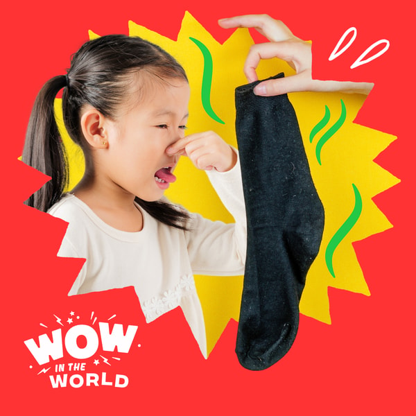 Wow in the World
