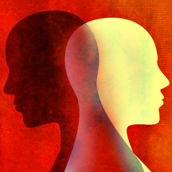 vol.31 双重人格:如何调和人的社会身份和自我认同