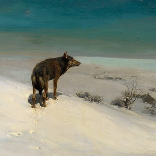 vol. 33 黑塞的《荒原狼》如何治愈文艺青年的精神内耗