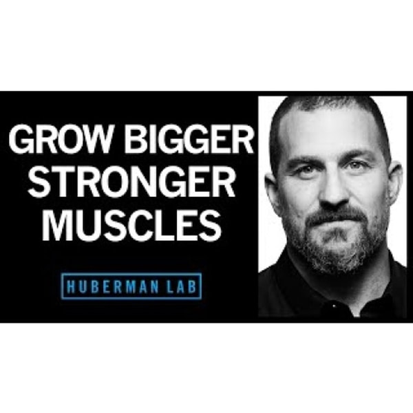 Science of Muscle Growth, Increasing Strength & Muscular Recovery