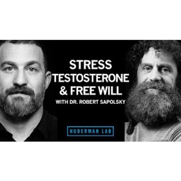 Science of Stress, Testosterone & Free Will _ Dr. Robert Sapolsky