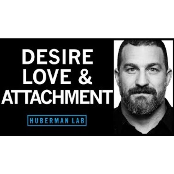 The Science of Love, Desire and Attachment
