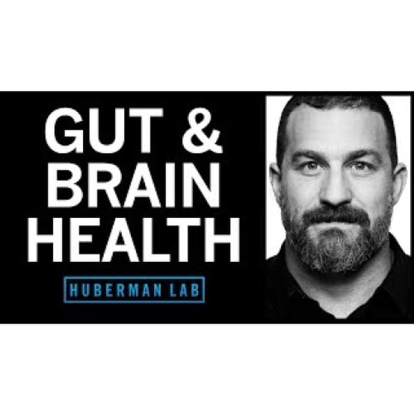 How to Enhance Your Gut Microbiome for Brain & Overall Health