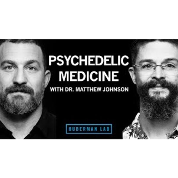 Psychedelics for Treating Mental Disorders _ Dr. Matthew Johnson