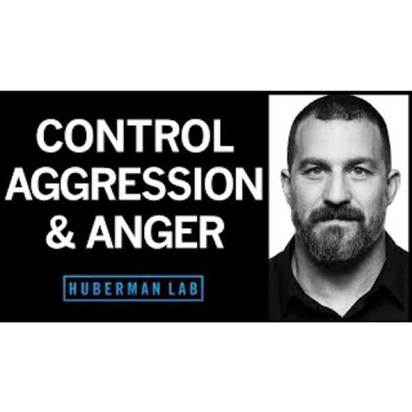 Understanding & Controlling Aggression _ Huberman Lab Podcast #71