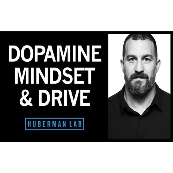 Controlling Your Dopamine For Motivation, Focus & Satisfaction