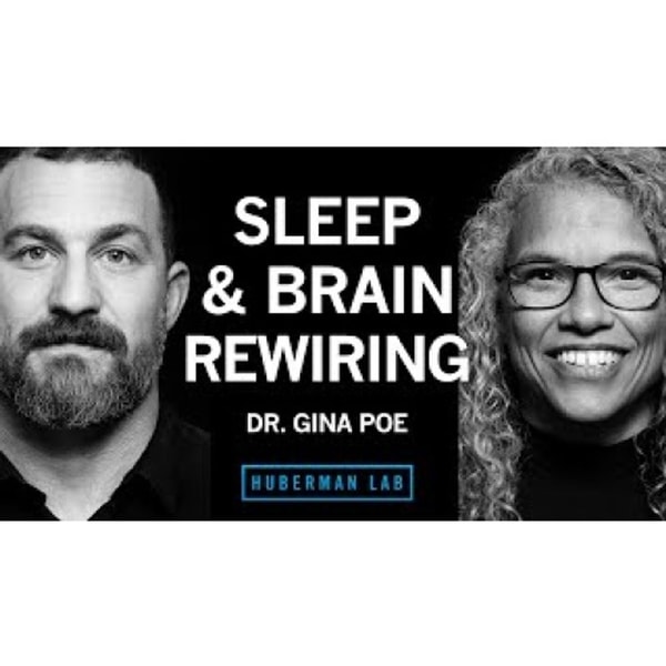 Use Sleep to Enhance Learning, Memory & Emotional State _ Dr. Gina Poe