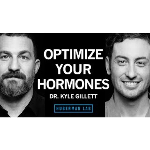 How to Optimize Your Hormones for Health & Vitality _ Dr. Kyle Gillett