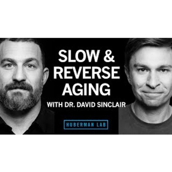 The Biology of Slowing & Reversing Aging _ Dr. David Sinclair