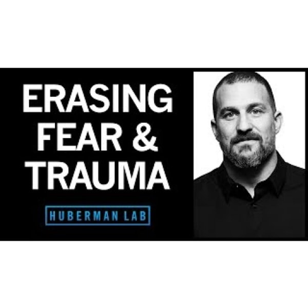 Erasing Fears & Traumas Based on the Modern Neuroscience of Fear