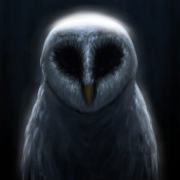 The Messengers: Owls, Synchronicities, And Alien Abduction With Mike Clelland