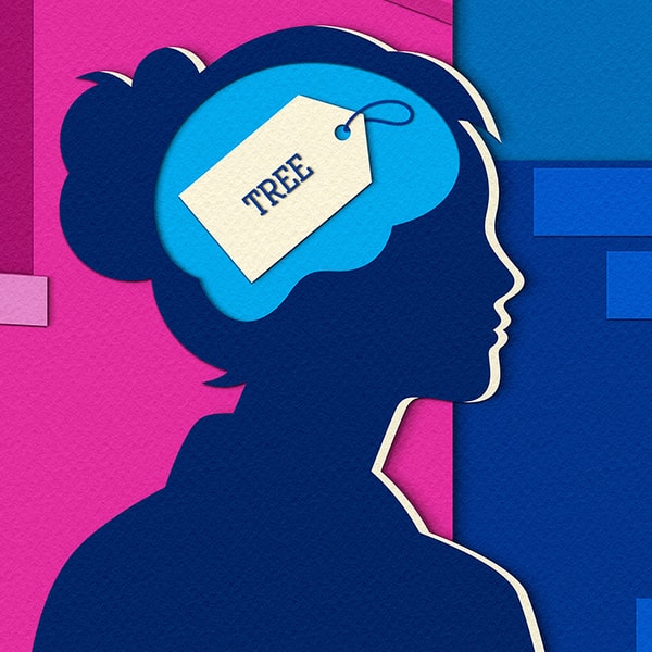 How the Brain Compresses Our Noisy World