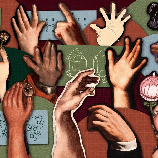 Why Am I Left-Handed?