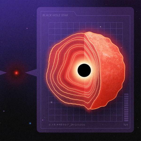 Are the Little Red Dots Actually Black Hole Suns?