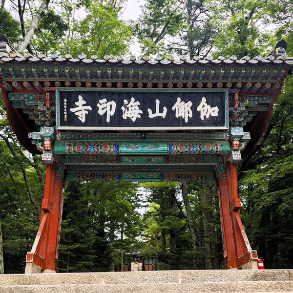 No 188. 不止是海印寺,韩国大邱周边深度游:藏在冷门城市里的文博惊喜