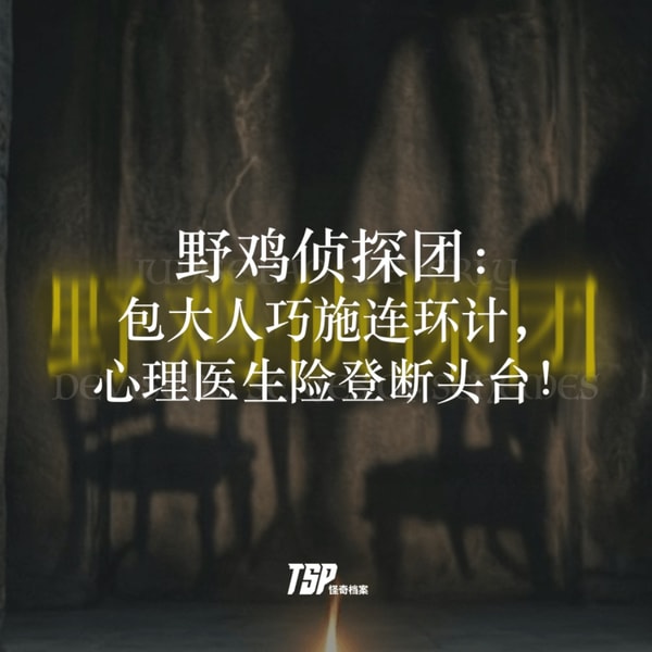 野鸡侦探团:包大人巧施连环计,心理医生险登断头台!