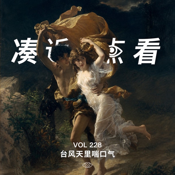 VOL 228 - 台风天里喘口气:珍惜成年后少有的停课通知