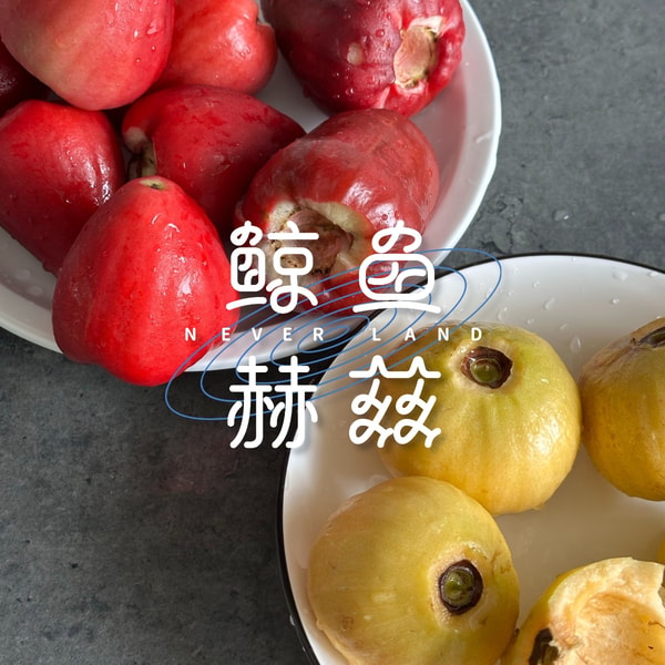 Vol.265 谁能想到莲雾这么甜、水蒲桃这么香啊?