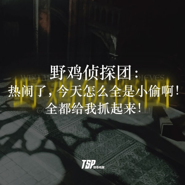 野鸡侦探团:热闹了,今天怎么全是小偷啊!全都给我抓起来!