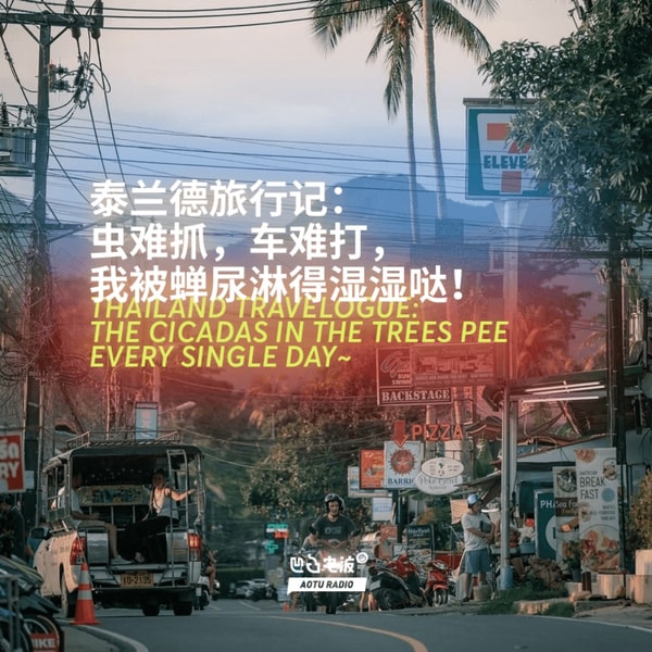 泰兰德旅行记:虫难抓,车难打,我被蝉尿淋得湿湿哒!