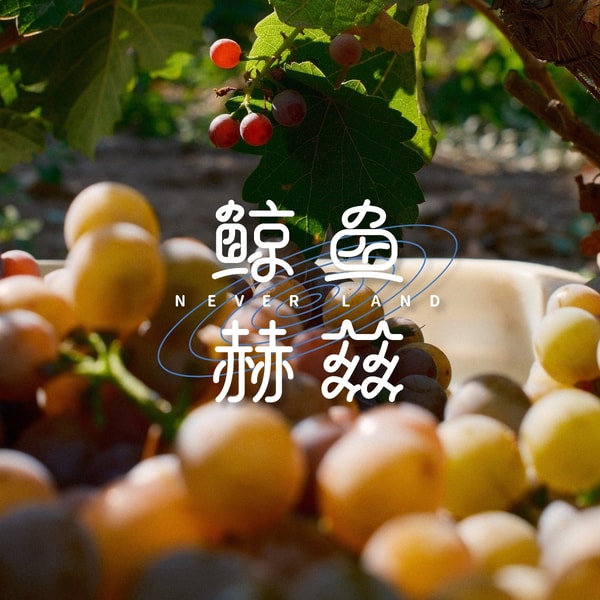 Vol.258 别轻易开酒庄,但葡萄酒可以适量饮用