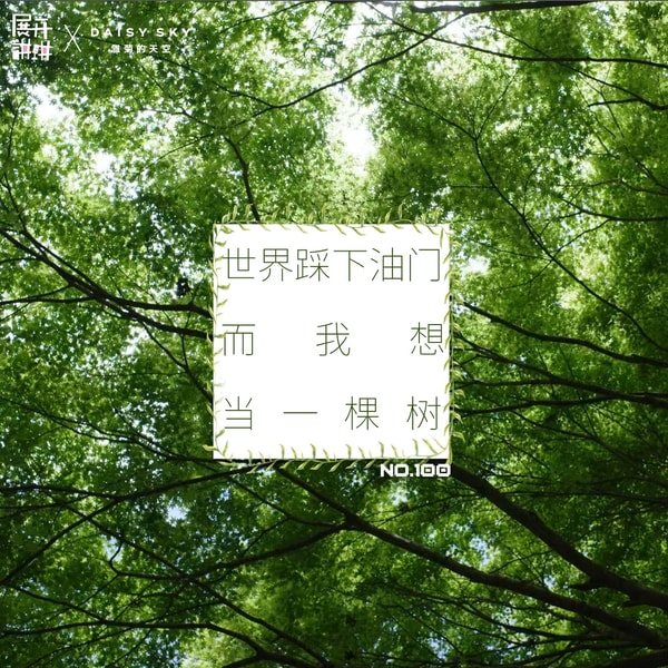 100.心声特辑:只要你学得足够慢,你就可以不用学