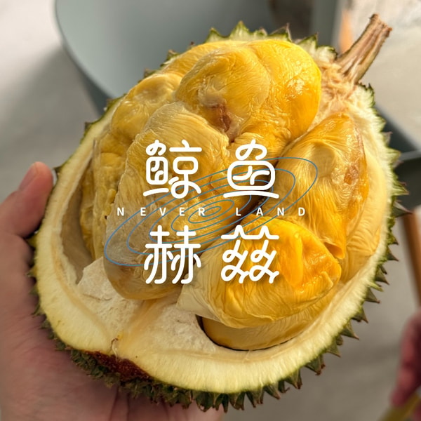 Vol.269 在槟城,人不可能两次吃到同一颗榴莲