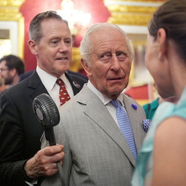 The king, his millions, and the first public royal tax bill – The Latest