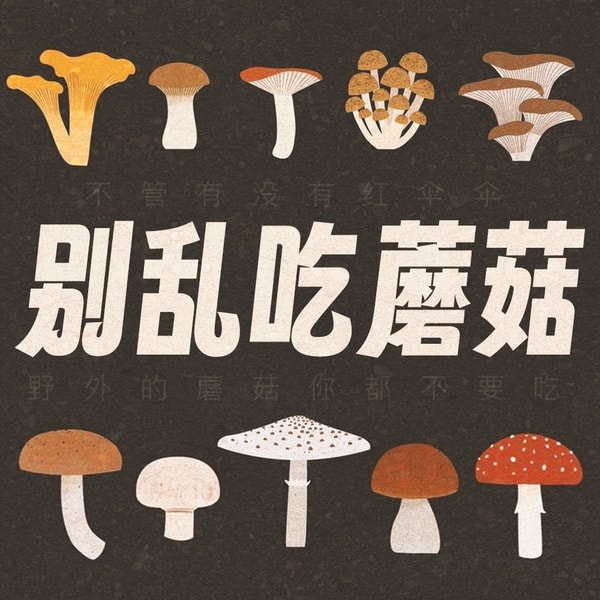 不管有没有红伞伞，野外的蘑菇你都不要吃
