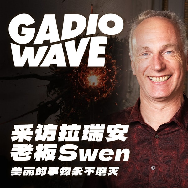 时隔7年再次采访拉瑞安工作室老板，《博德之门3》，《神界》制作人Swen，机浪 Vol.111