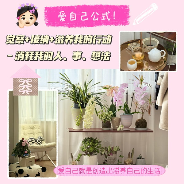 有序生活
