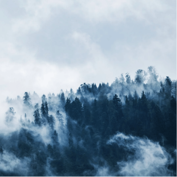 E174 周期股怎么看?有色、贵金属、建材、化工…| David对谈大宗商品专家