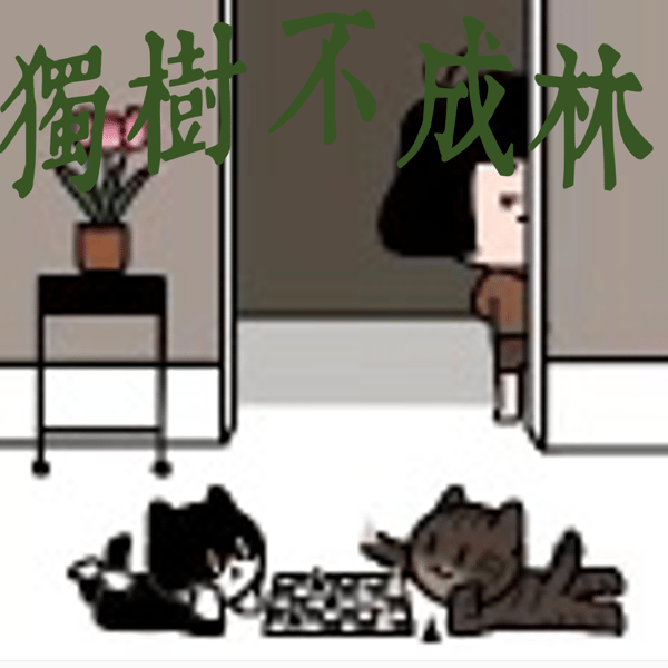 295-美国退群之后西方联盟的其他国家要咋办?