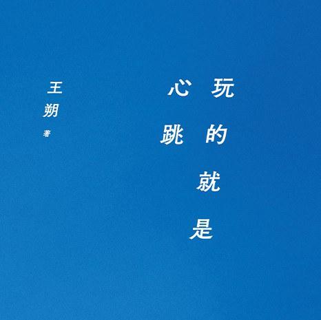 《玩的就是心跳》|当一代人,撞上时代转型,我们到底是谁?