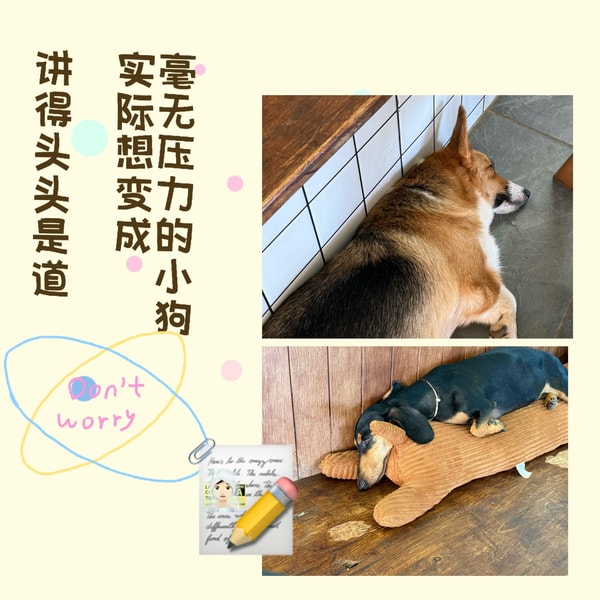 28.高压期干货:稳住心态、提升专注、爆发行动力