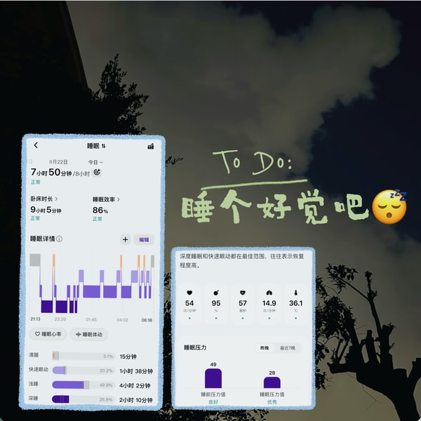 有序生活