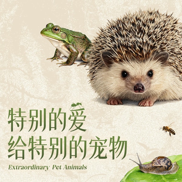 【重口预警】 异宠专题:不想养小狗小猫可以来试试本期节目里介绍的动物哦