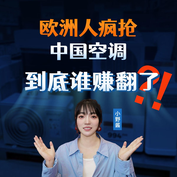 134.欧洲人疯抢中国空调,到底谁赚翻了?