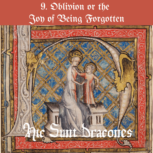 9. 被遗忘的欢愉:Oblivion or the Joy of Being Forgotten