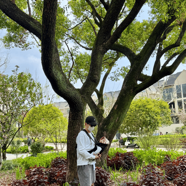 史蒂夫说459期 - 心理科普:为什么40多岁做心理咨询,回报远高于20岁