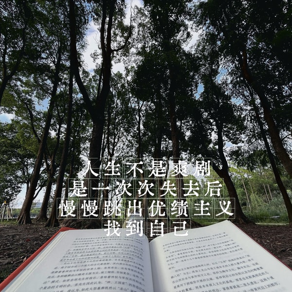 有序生活
