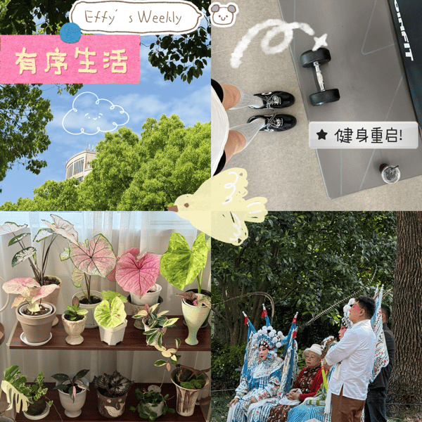 16.悄悄告诉你:“断舍离”是我让宇宙投喂惊喜的秘诀,屡试不爽!