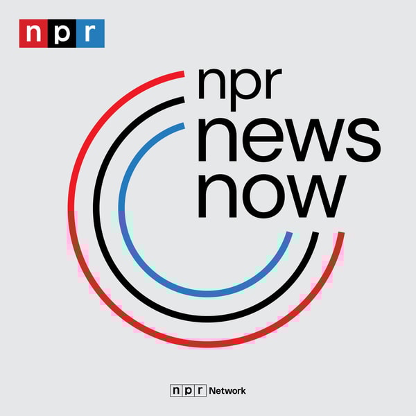 NPR News: 04-11-2025 8AM EDT