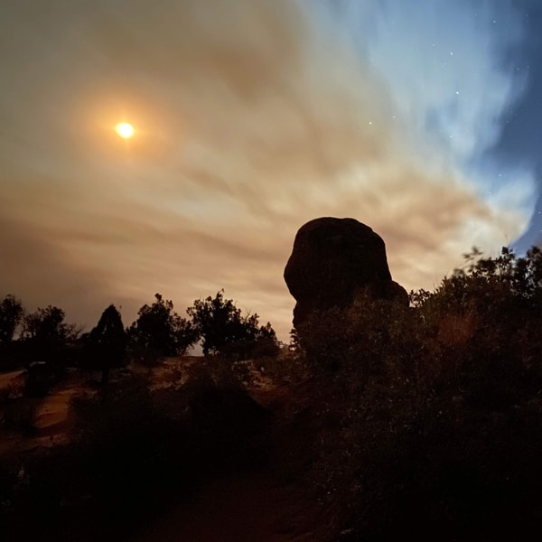 How AI is helping fight wildfires