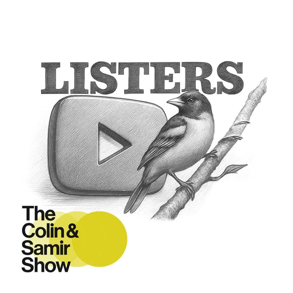 How Extreme Birdwatching on YouTube could redefine Hollywood.